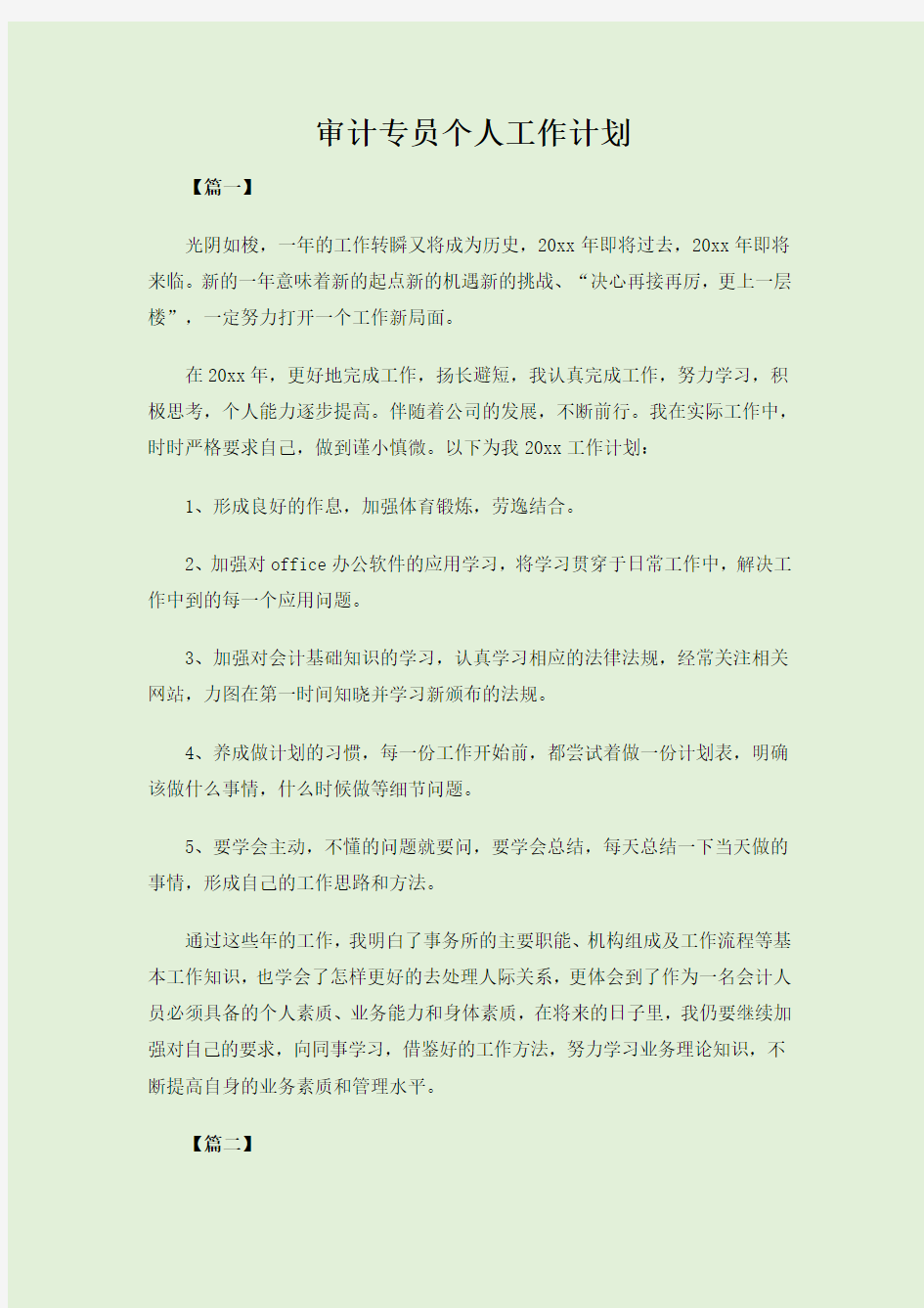 审计专员个人工作计划