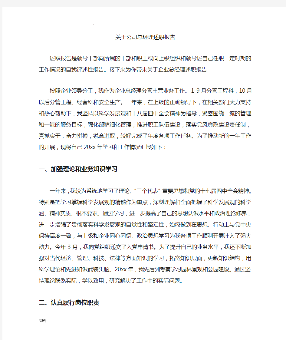 关于公司总经理述职报告