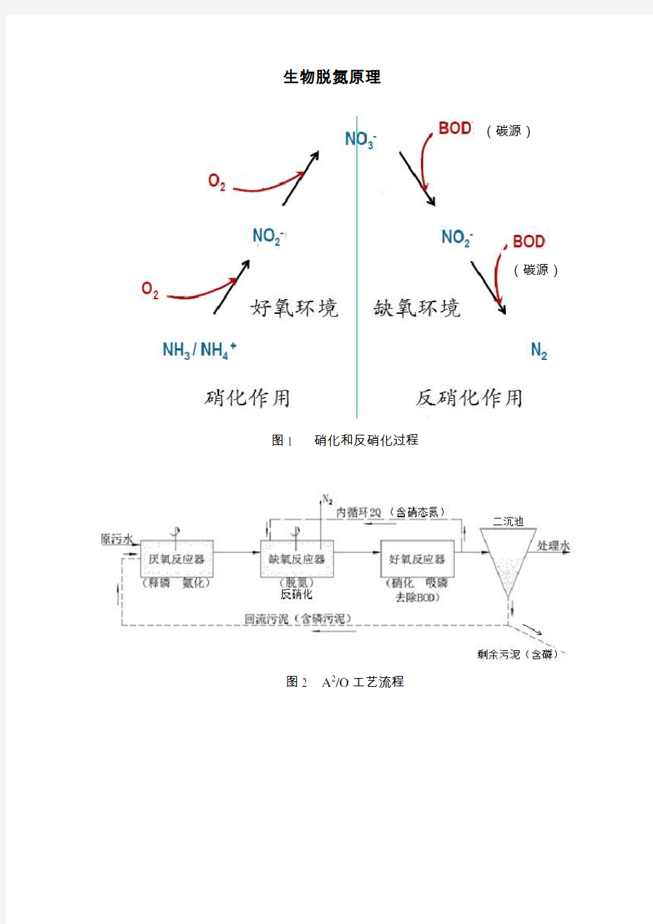 生物脱氮除磷原理