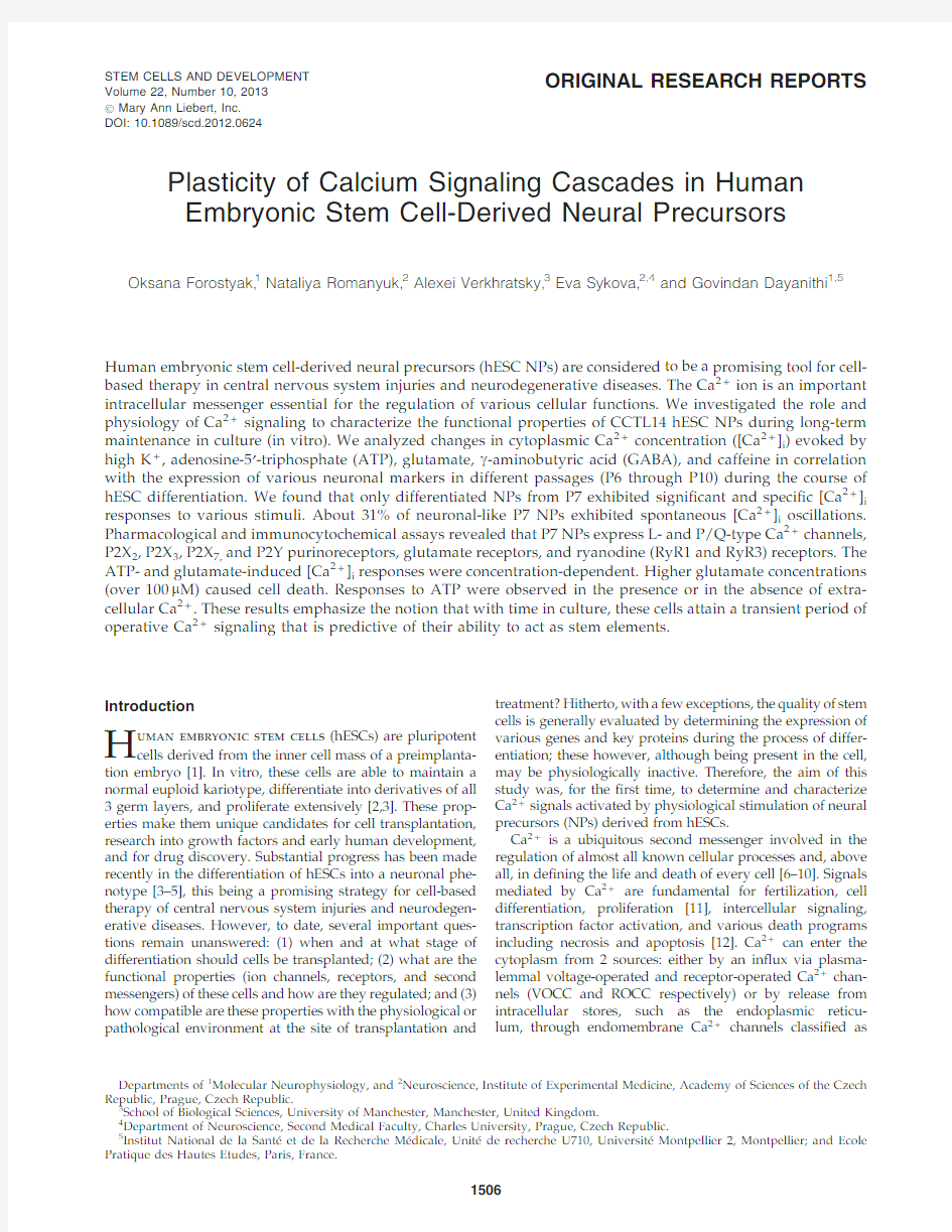 Plasticity of Calcium Signaling Cascades in Human