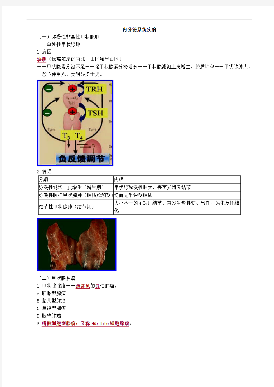 病理学-内分泌系统疾病
