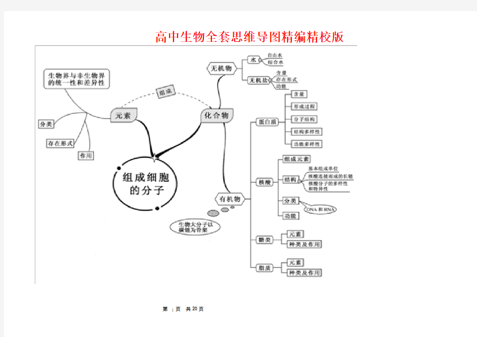 高中生物全套思维导图精编精校版 (1)