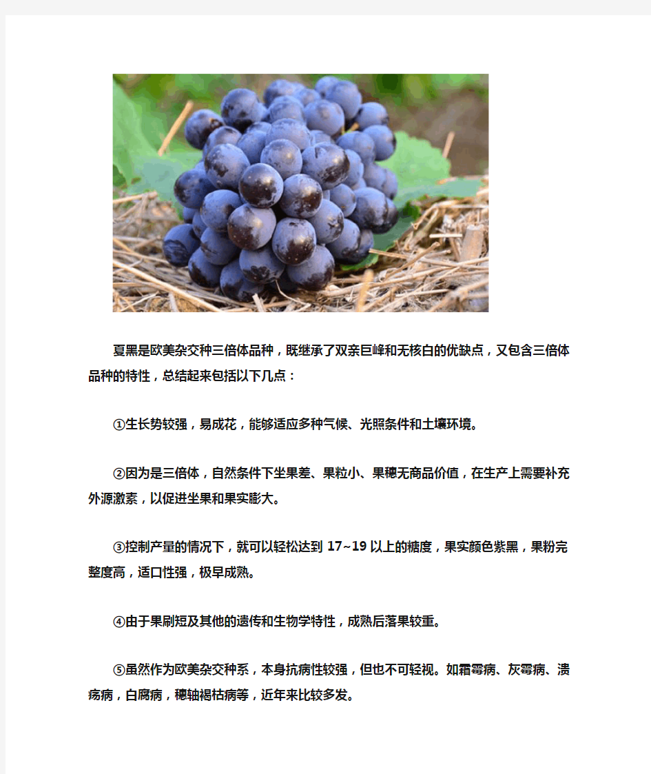 夏黑葡萄栽培技术手册(完全版)
