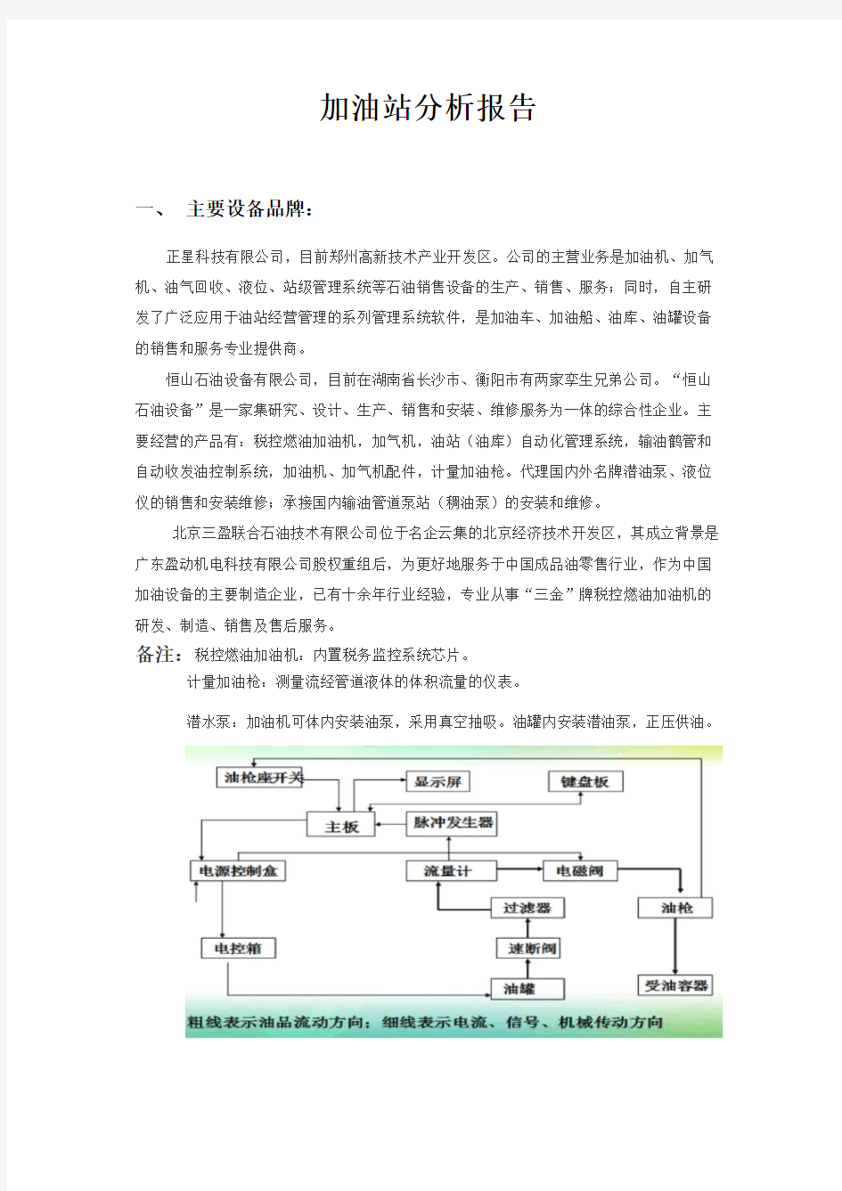 加油站分析报告(王涛)