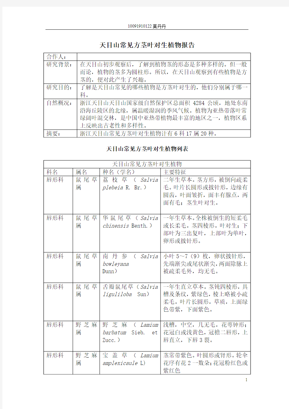 天目山常见方茎叶对生植物报告