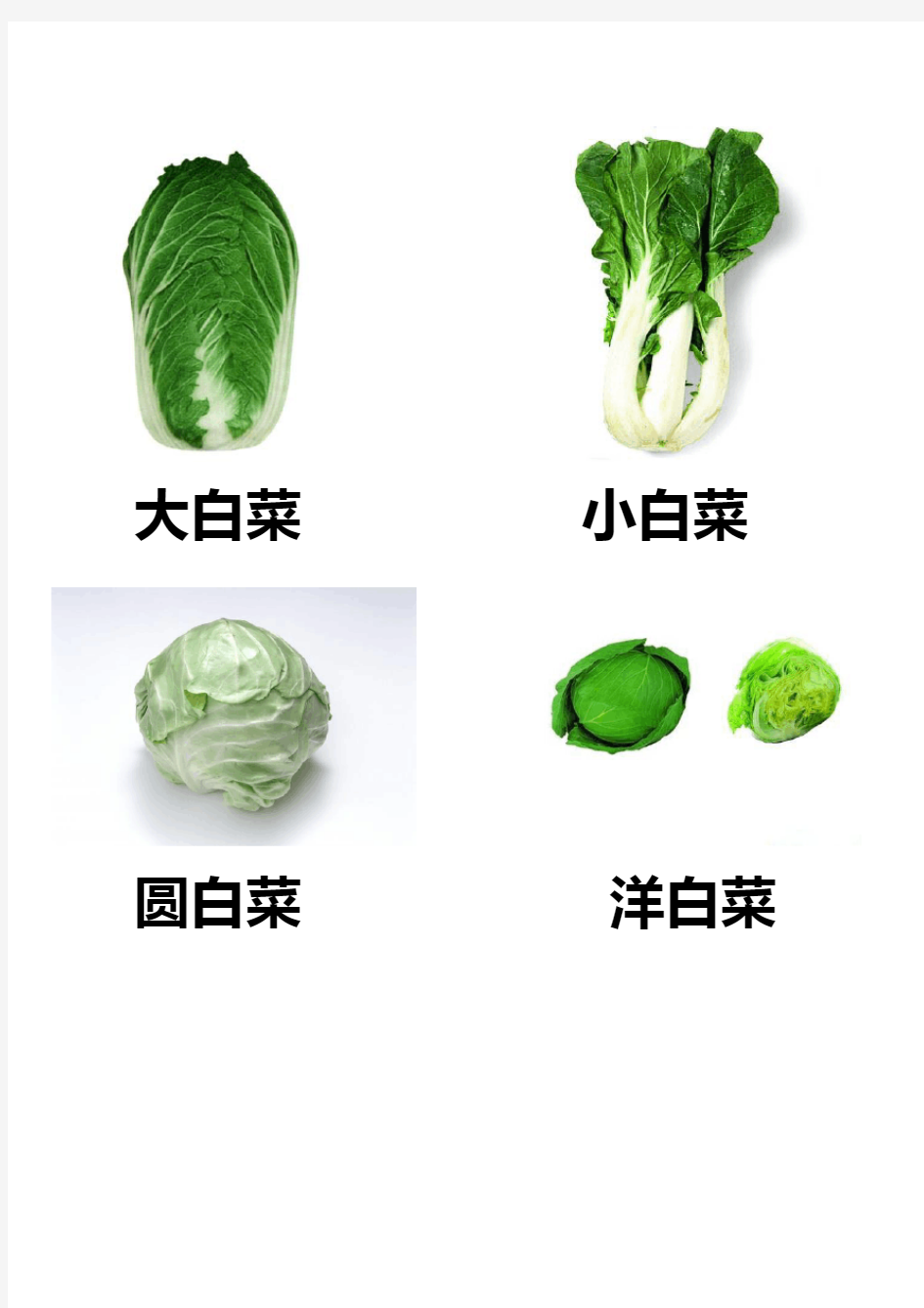 各种蔬菜图片总汇