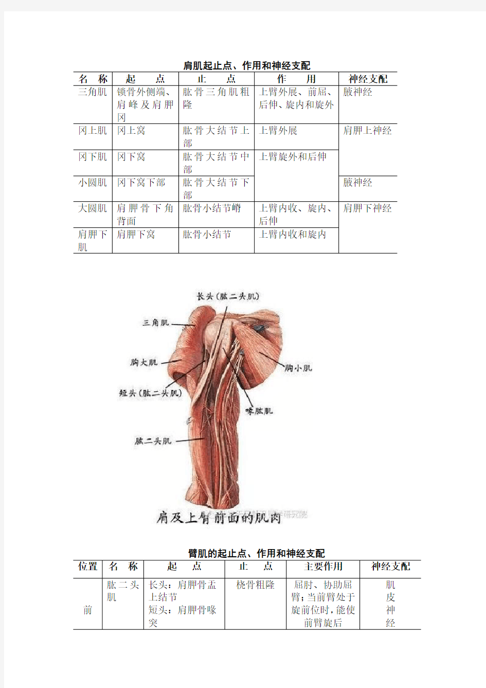 肌肉起止点