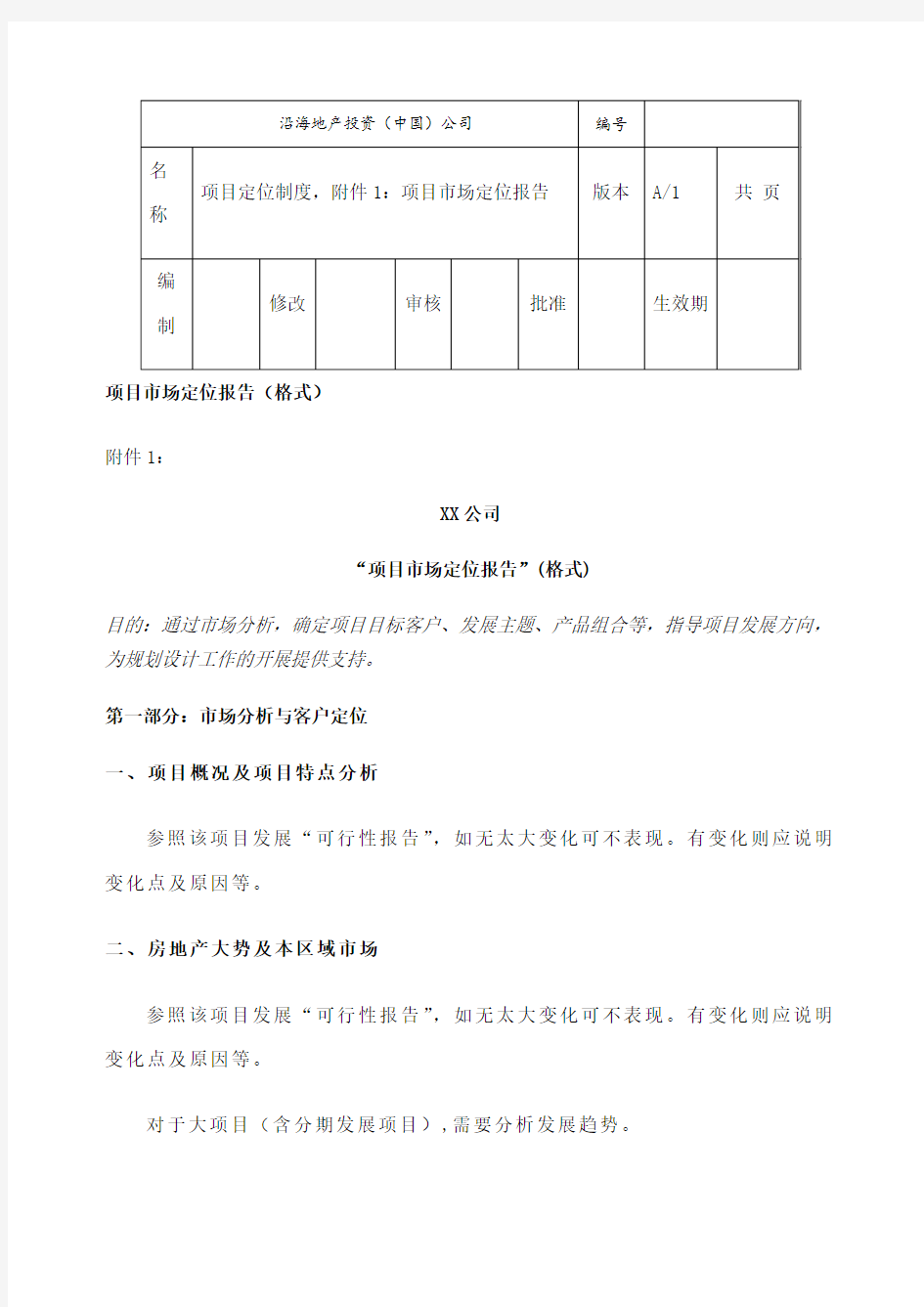 项目市场定位报告模版