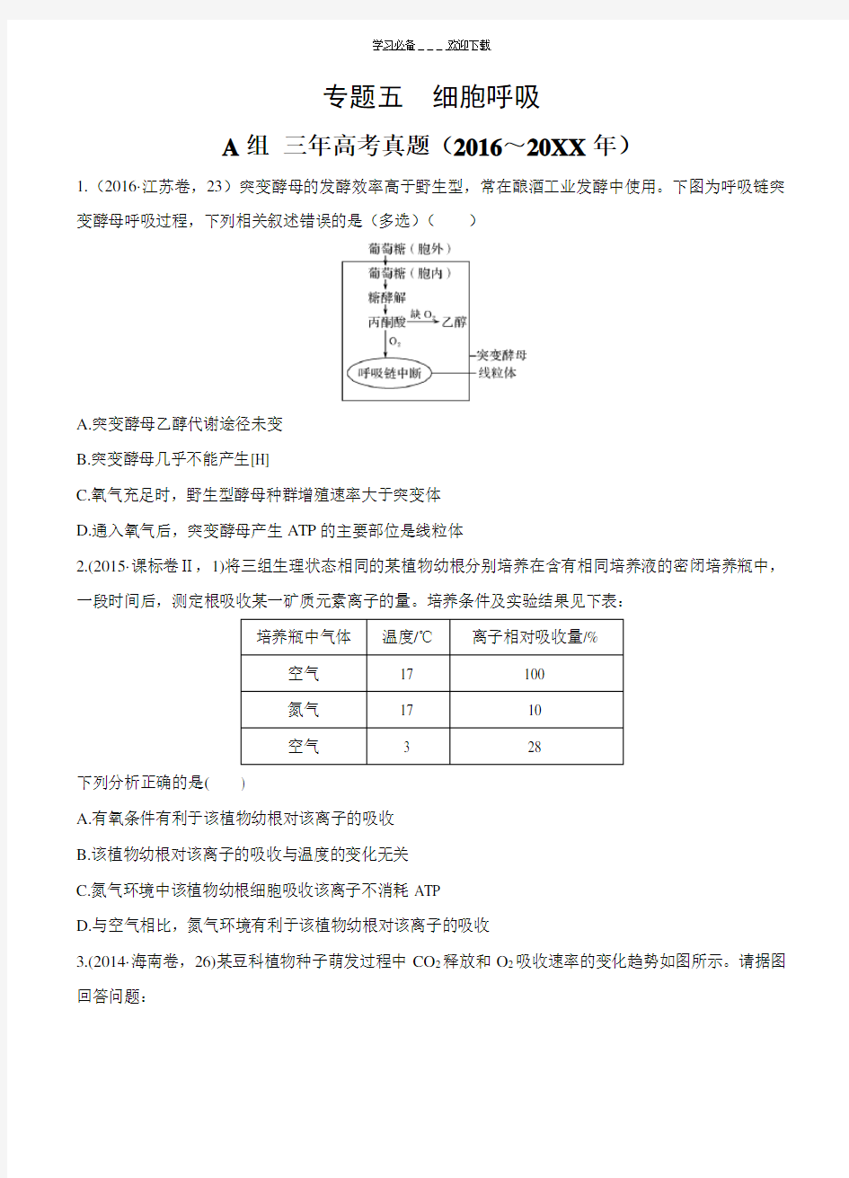 生物三年高考两年模拟专题细胞呼吸(含答案)