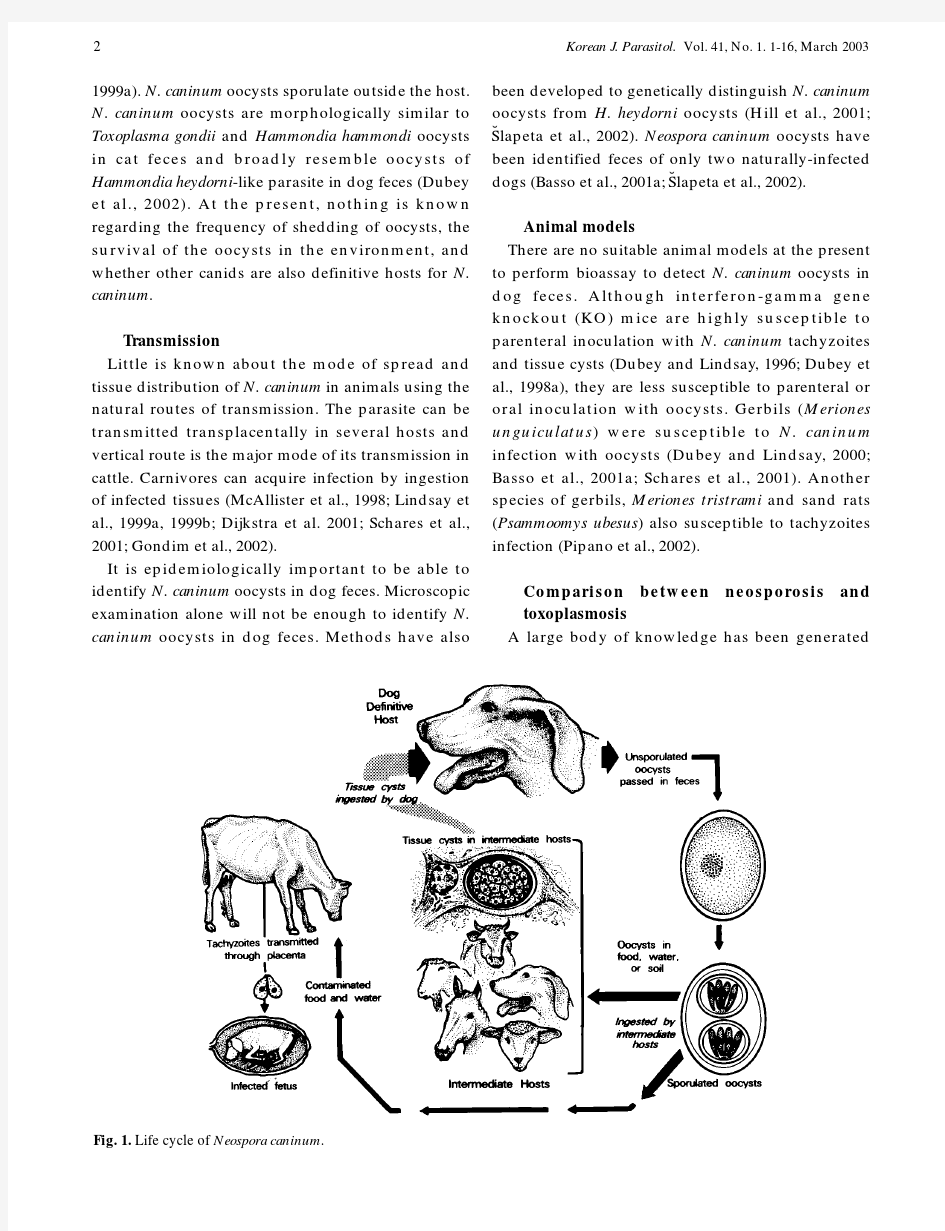 Review of Neospora caninum and neosporosis in animals