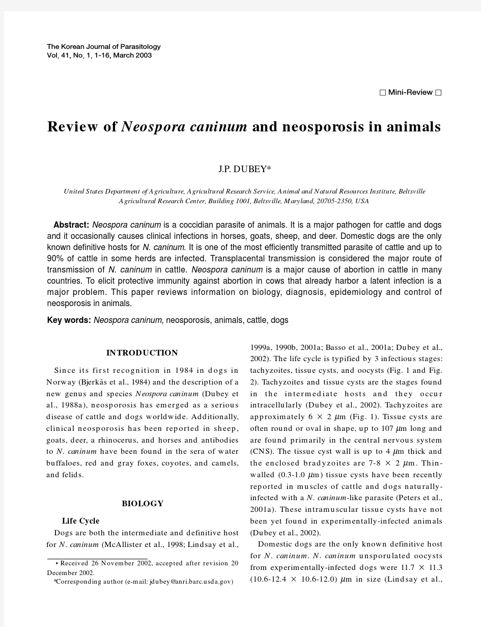 Review of Neospora caninum and neosporosis in animals