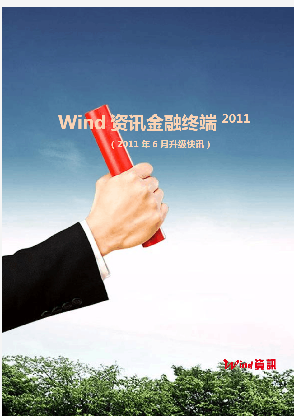 Wind资讯金融终端快讯(2011年6月)