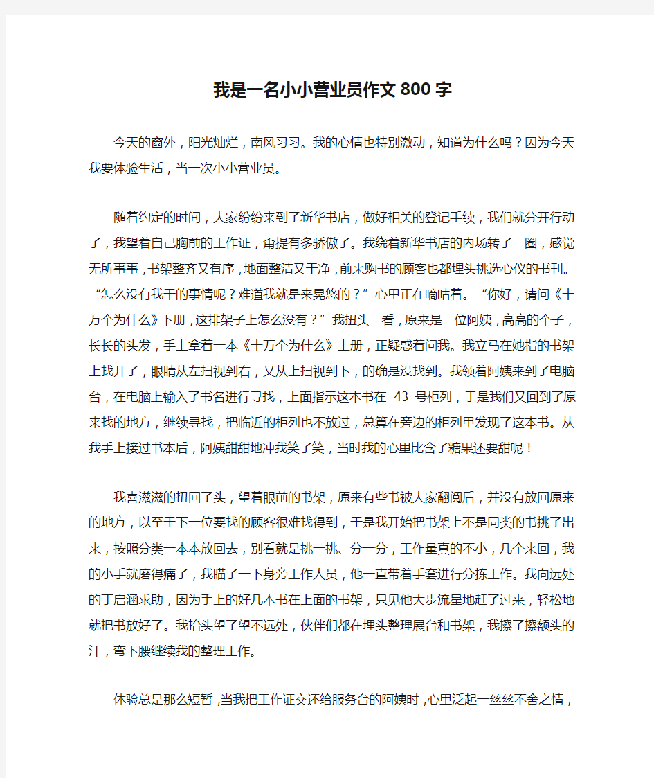 我是一名小小营业员作文800字(高分作文)