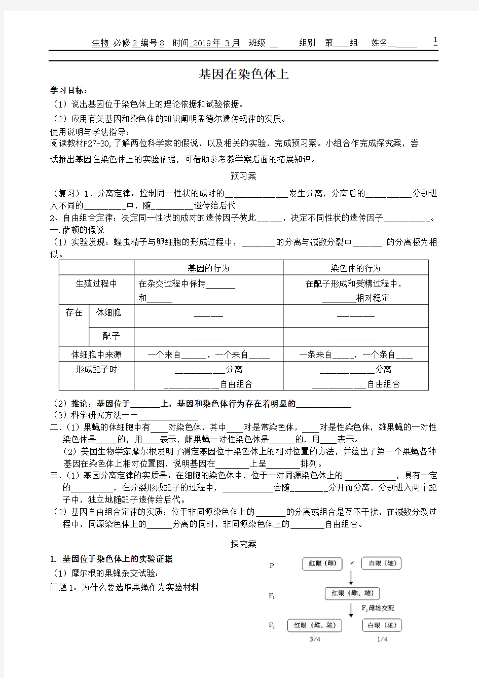 基因在染色体上(导学案)