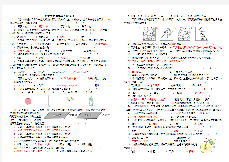 初中生物选择题专项练习