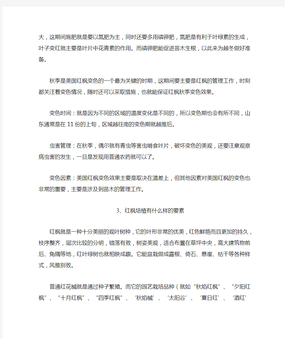 美国红枫的管理方法