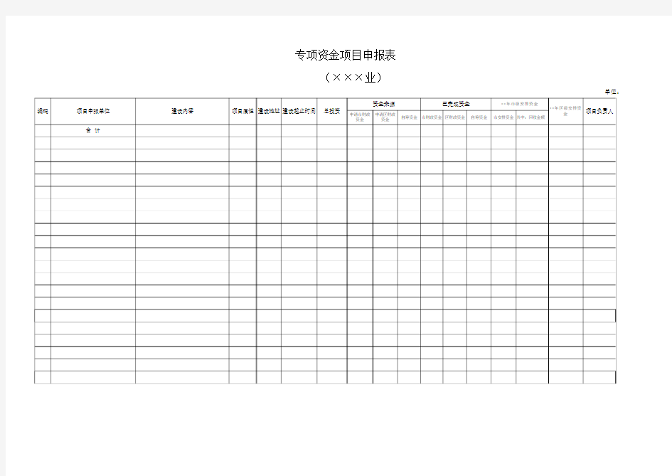 资金项目申报表