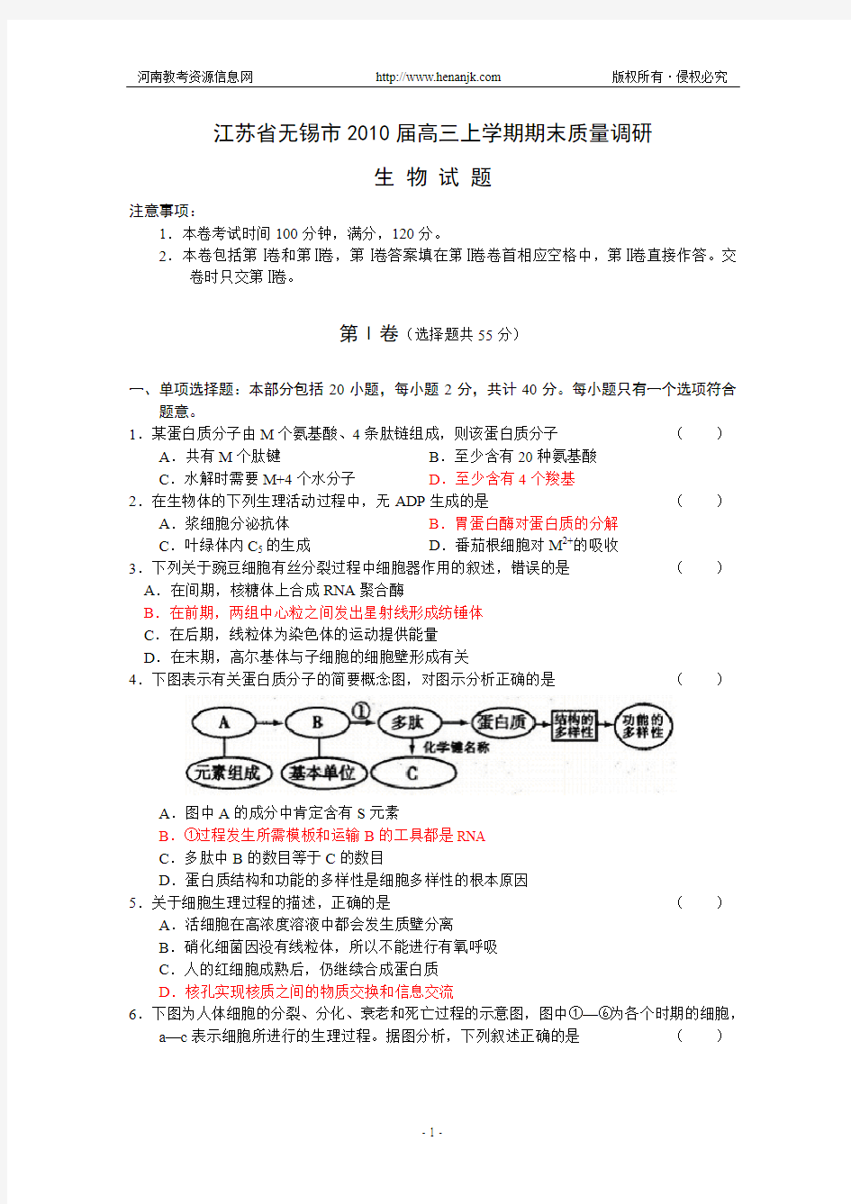 江苏省无锡市2010届高三上学期期末质量调研(生物)