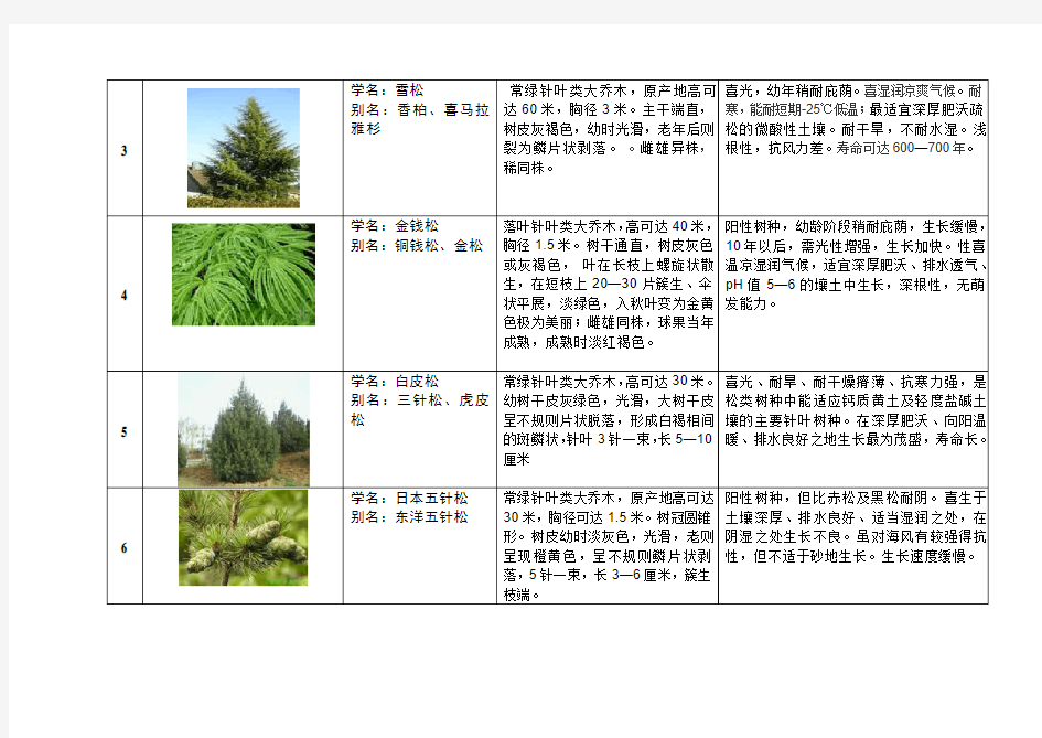 树种介绍