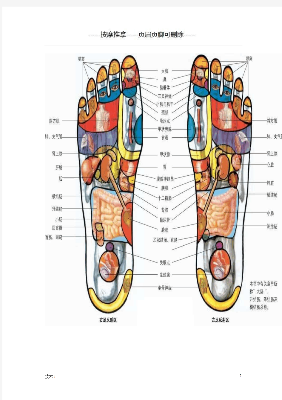 脚部穴位图+足疗口诀(推拿技术)