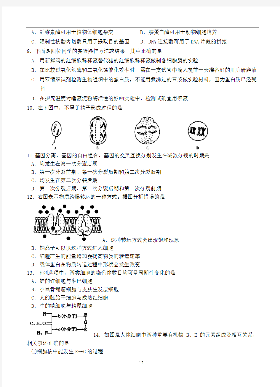 高三上学期期中考试生物试题