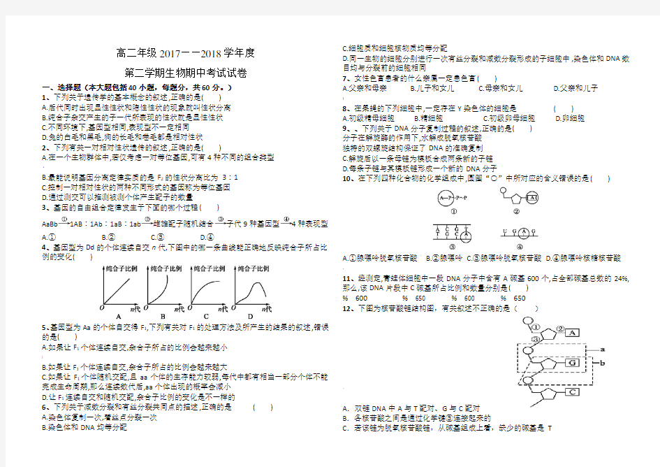 高中生物必修二考试试题(含答案)