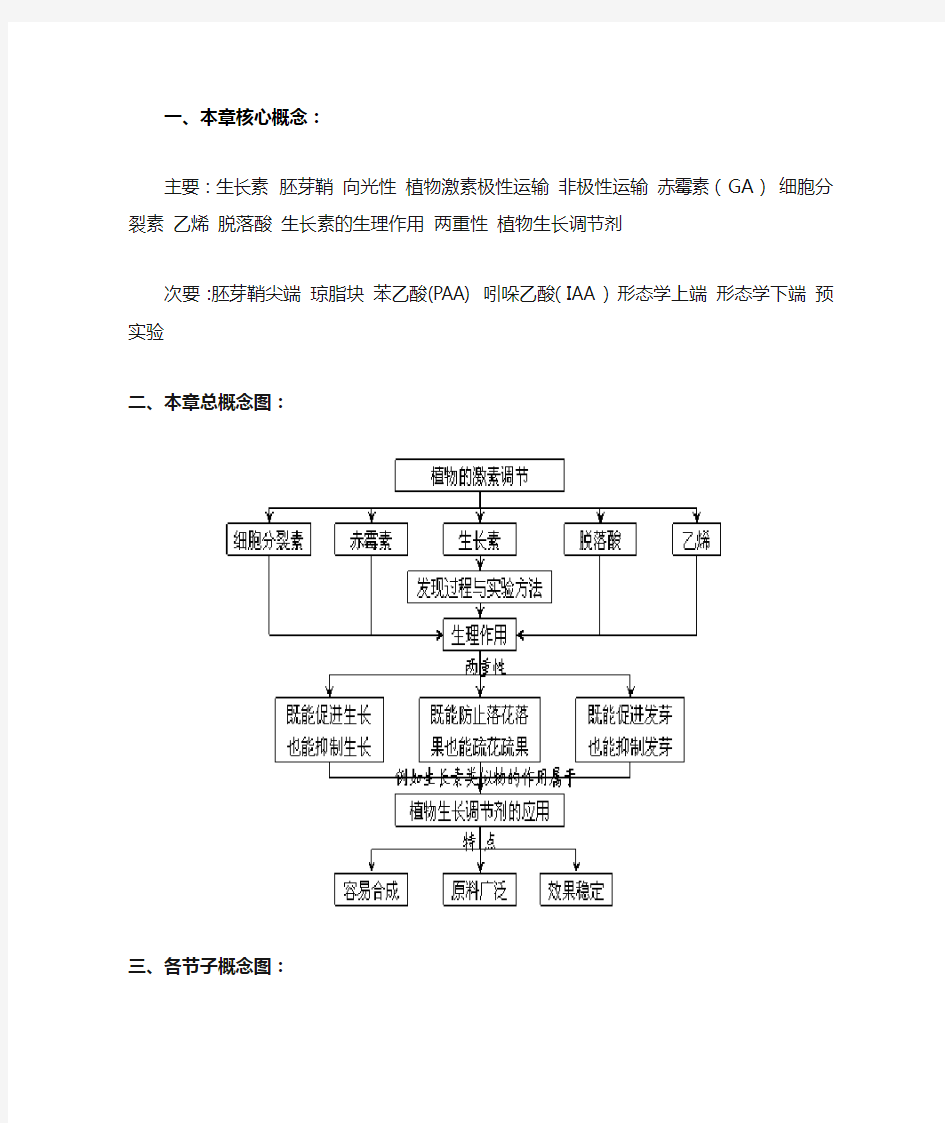 知识概念图