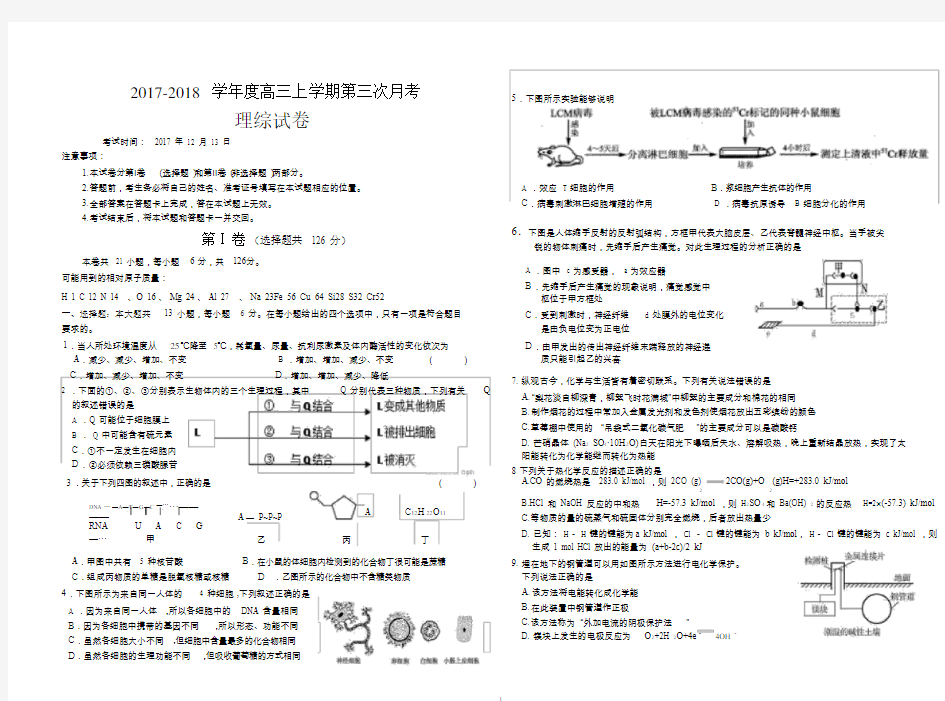 (完整版)高三理综模拟试卷(带完整答案)