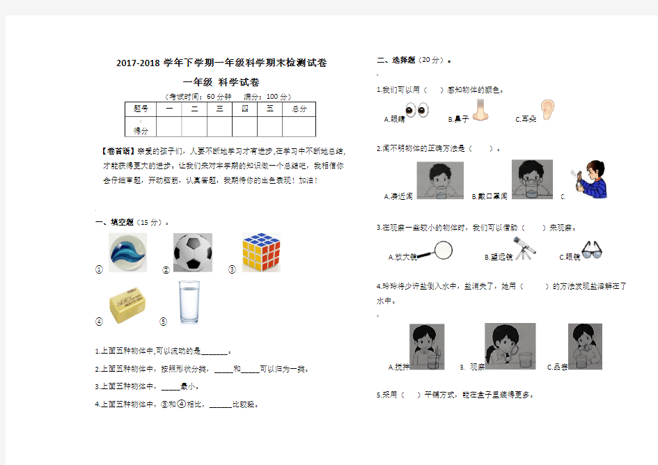 教科版一年级下册科学期末试卷及答案(标准测试卷,直接打印)