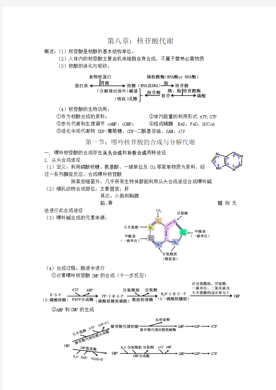 (推荐)核苷酸代谢总结