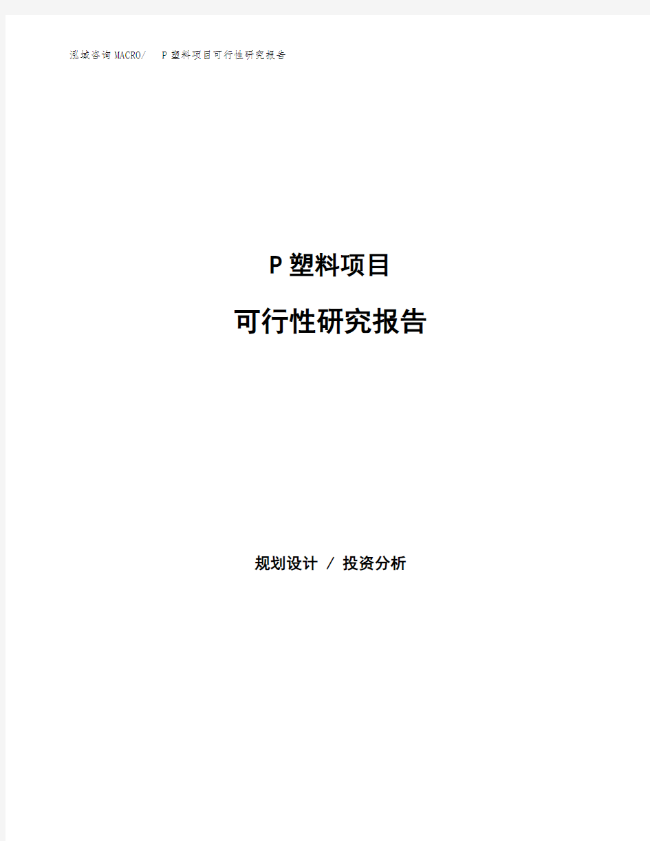 P塑料项目可行性研究报告(可编辑)