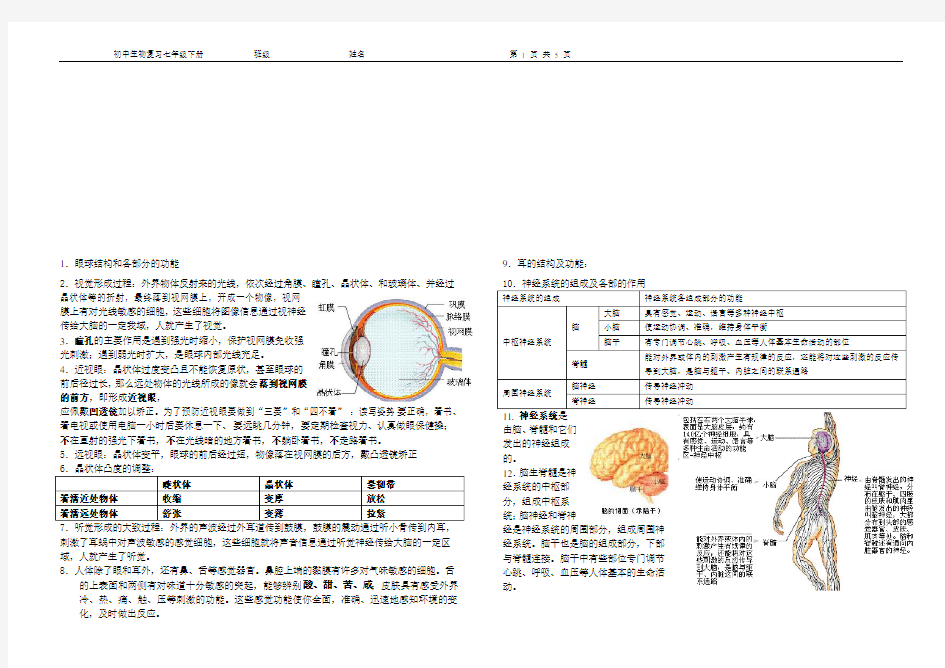 七年级下册知识点总结