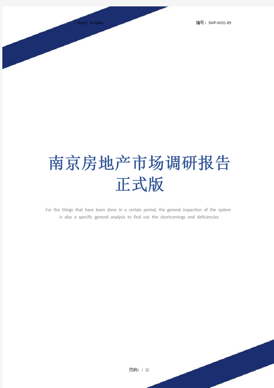 南京房地产市场调研报告正式版