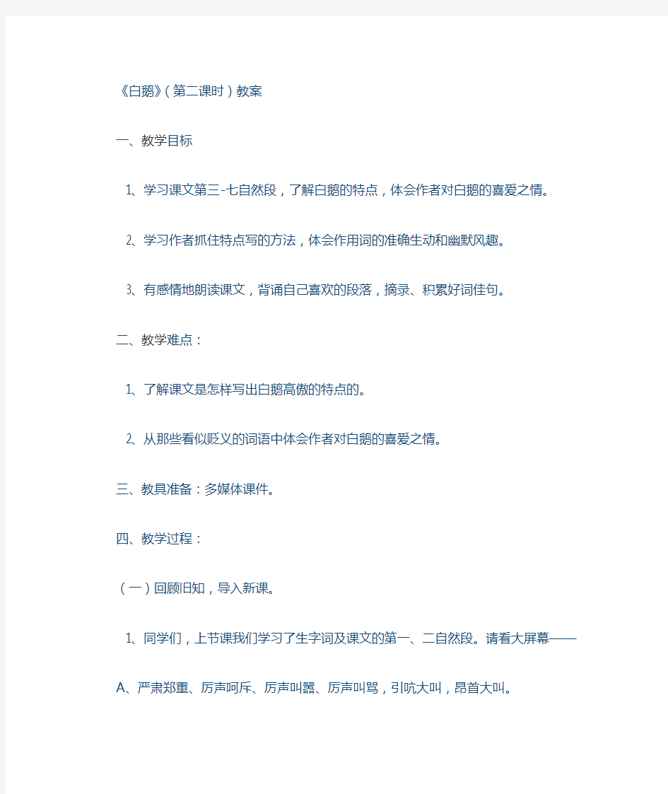 白鹅教案