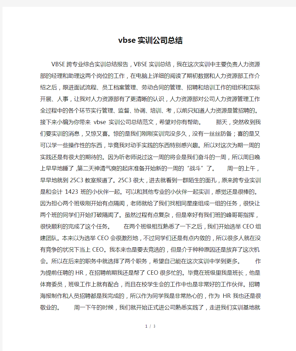 vbse实训公司总结