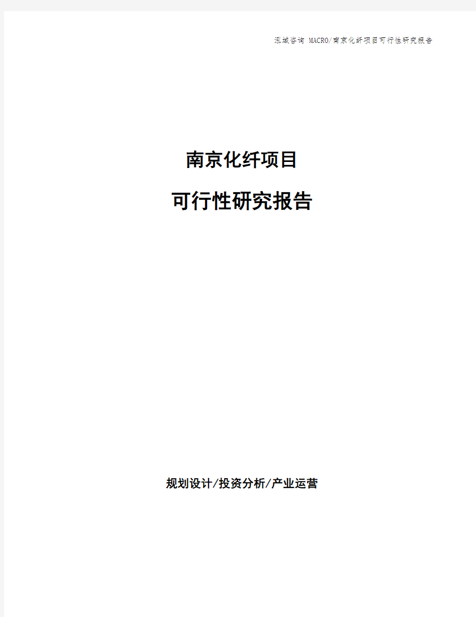 南京化纤项目可行性研究报告