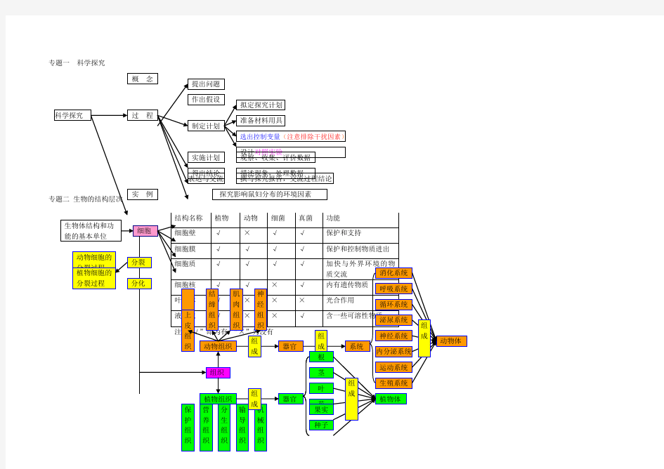 初中生物思维导图