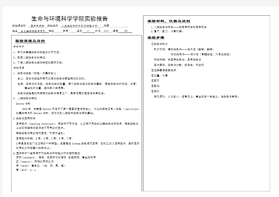 人类染色体的识别及核型分析