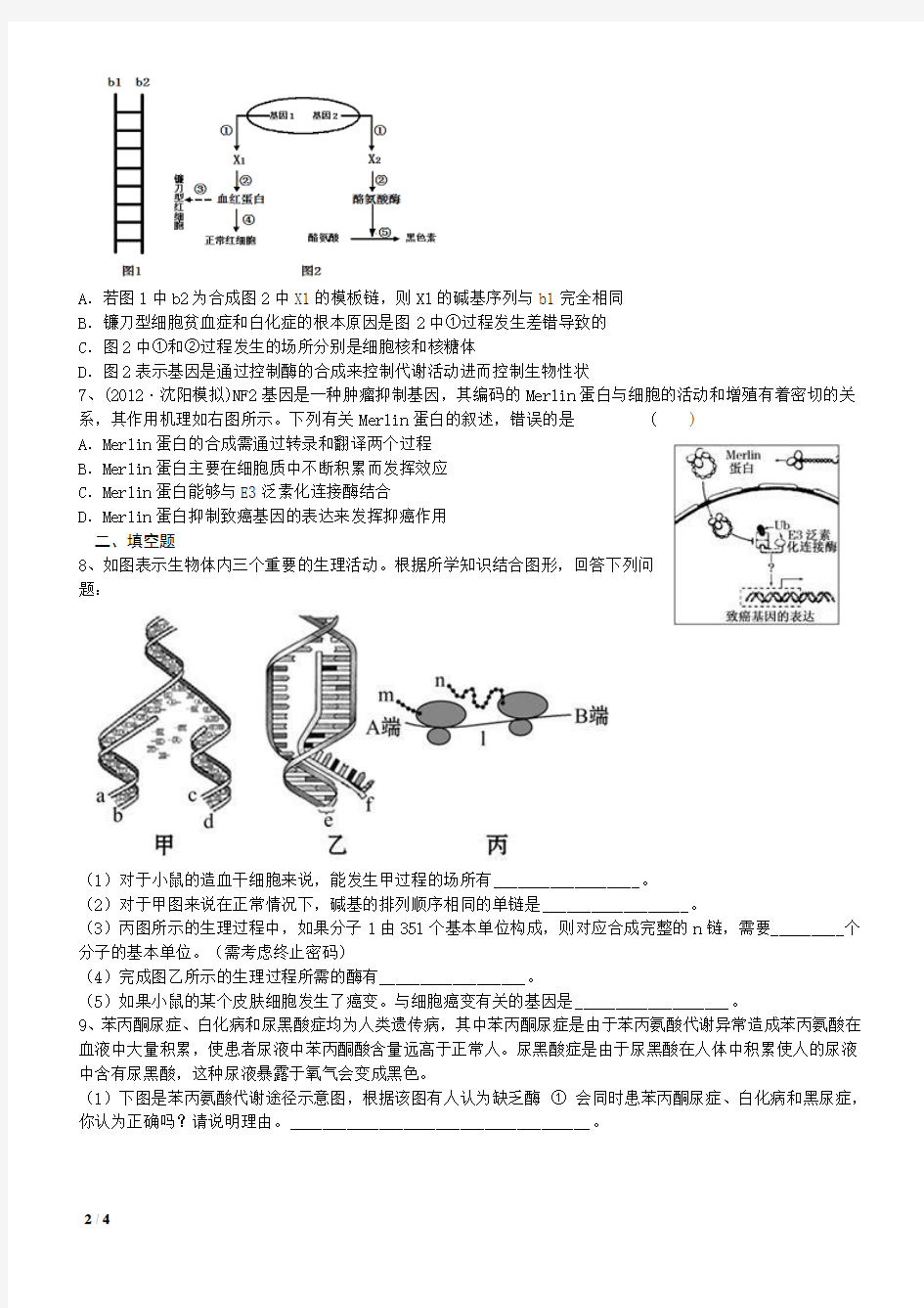 遗传的分子基础测试题2