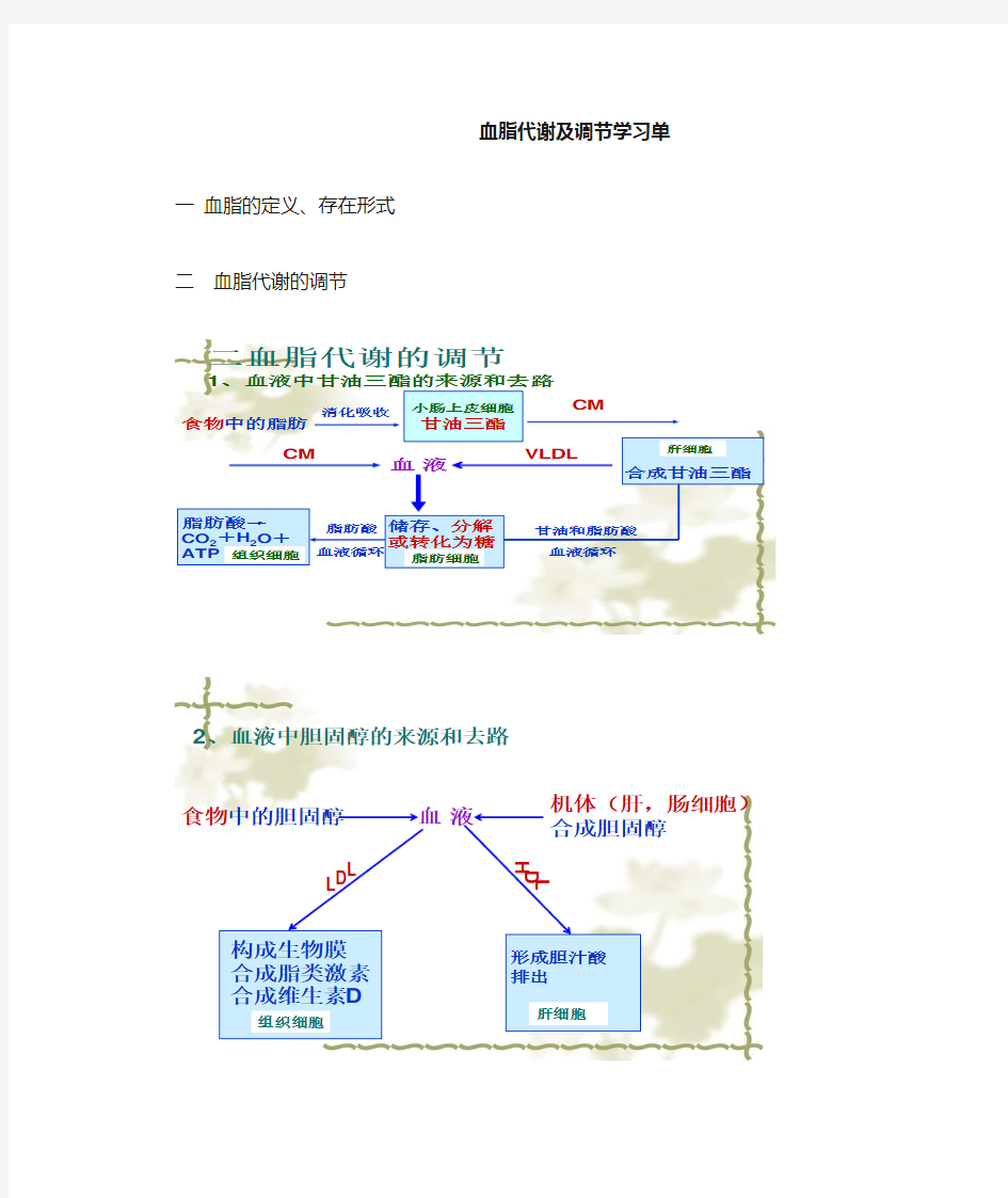 血脂代谢及调节学习单