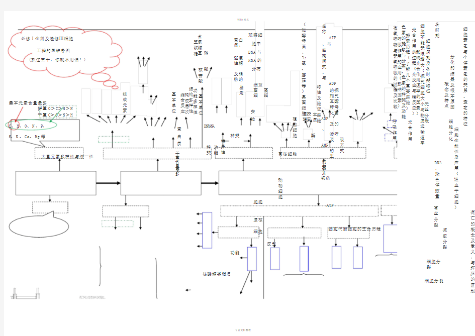 生物必修一物质基础与细胞思维导图