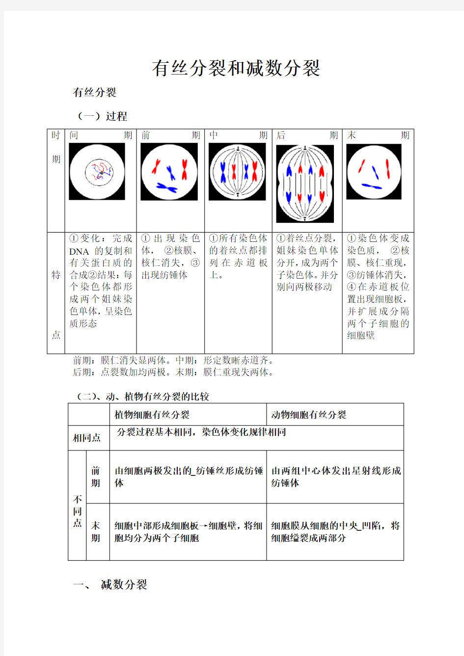 高中生物必修二有丝分裂_减数分裂详尽分析