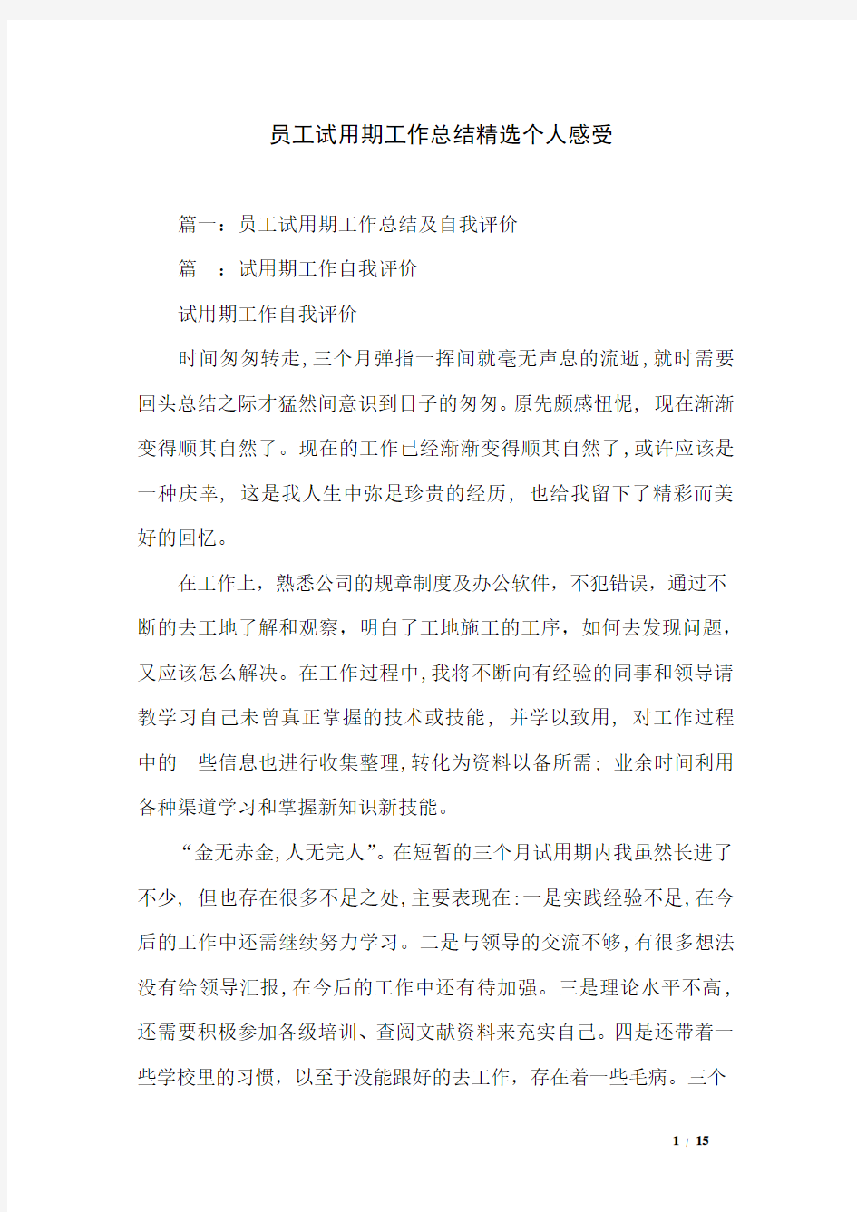 员工试用期工作总结精选个人感受