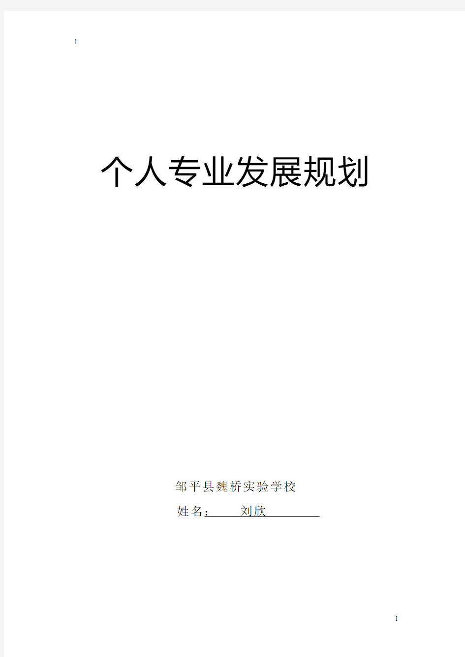 liuxin 教师业务档案发展规划