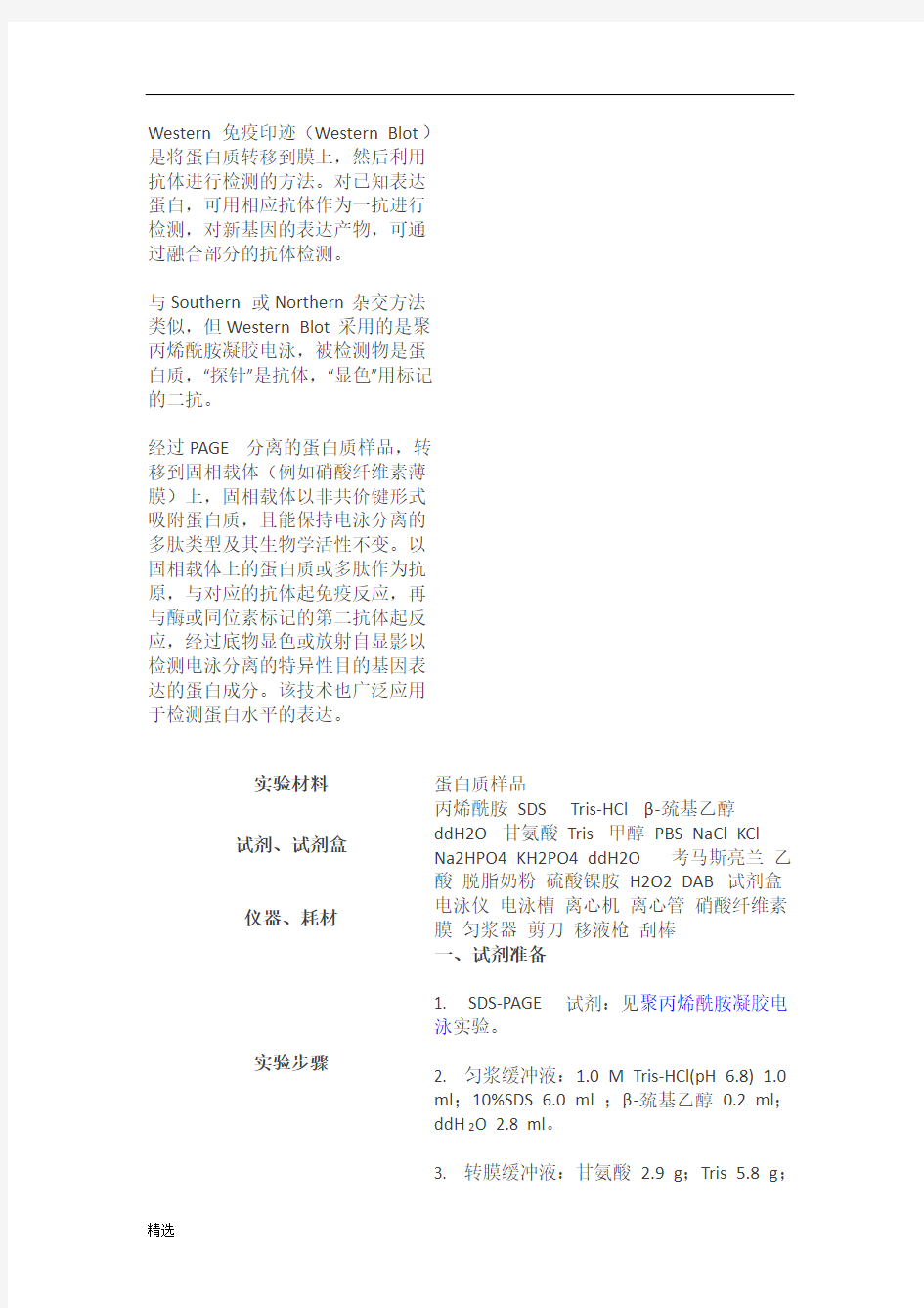 westernblot详细图解详细版.docx