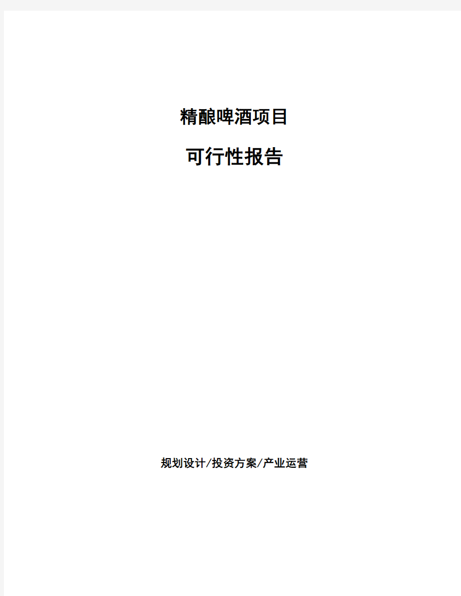 精酿啤酒项目可行性报告