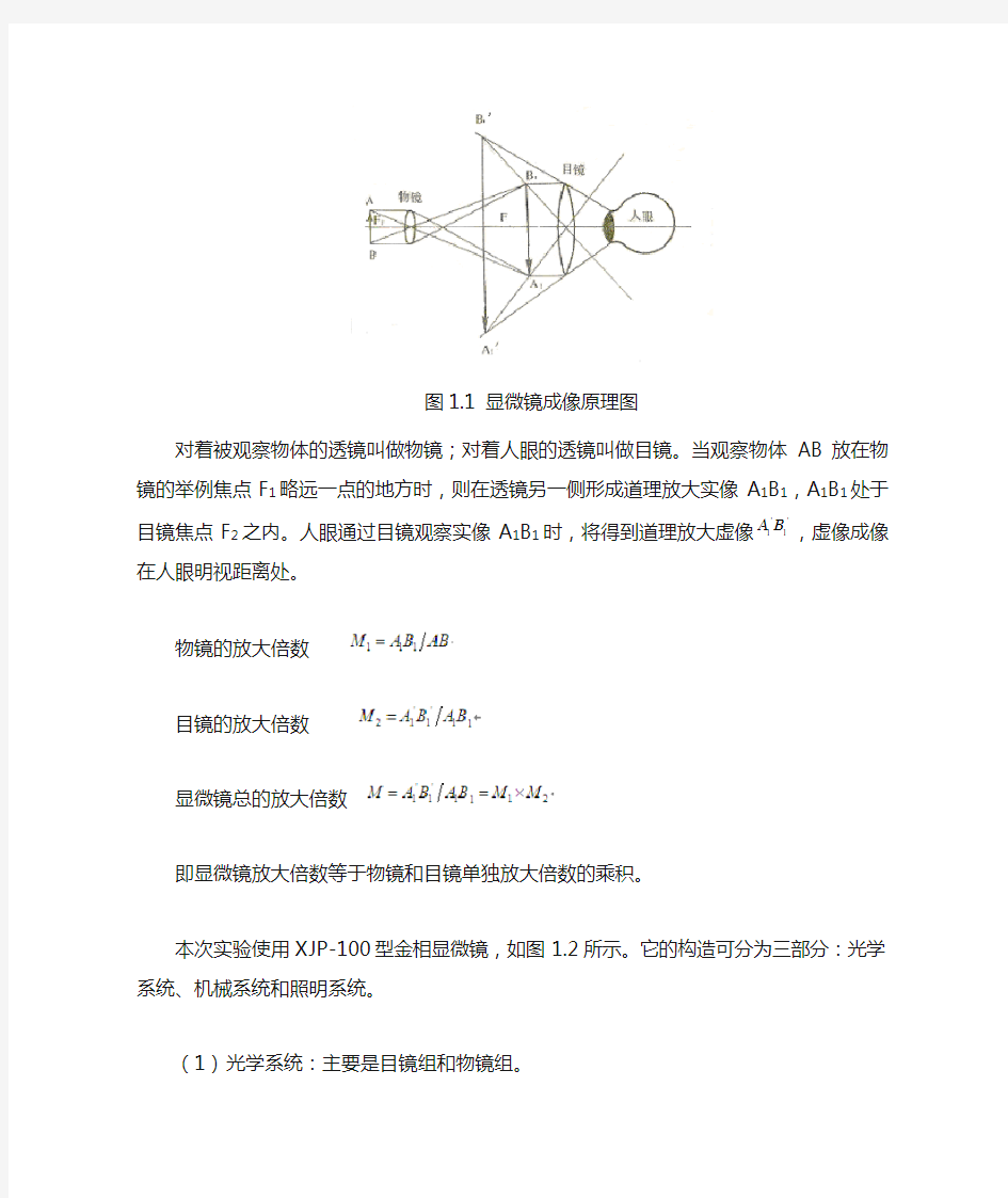 金相显微镜的使用及金相试样的制备实验