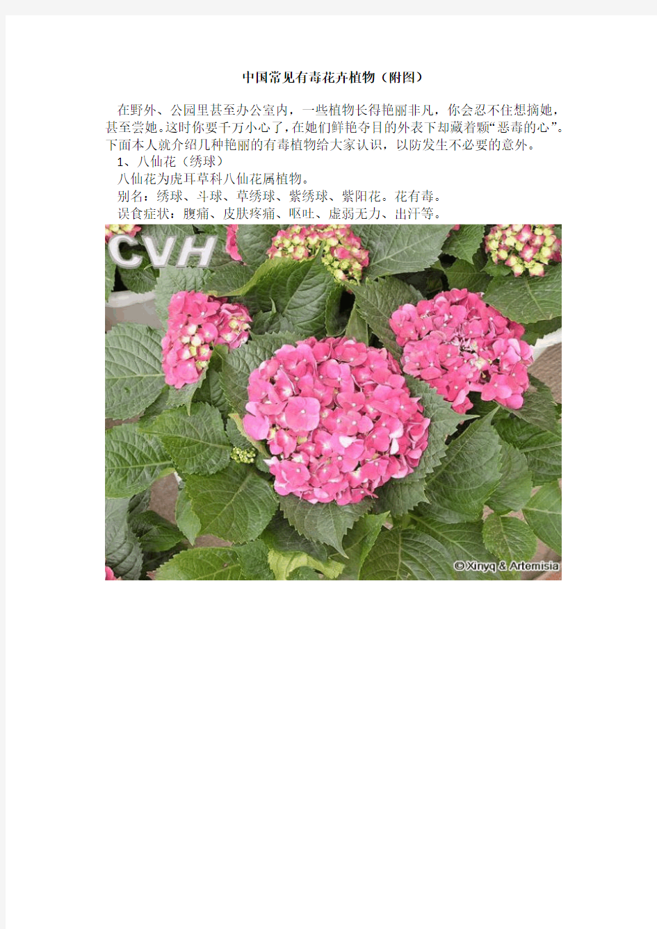 中国常见有毒花卉植物(附图)