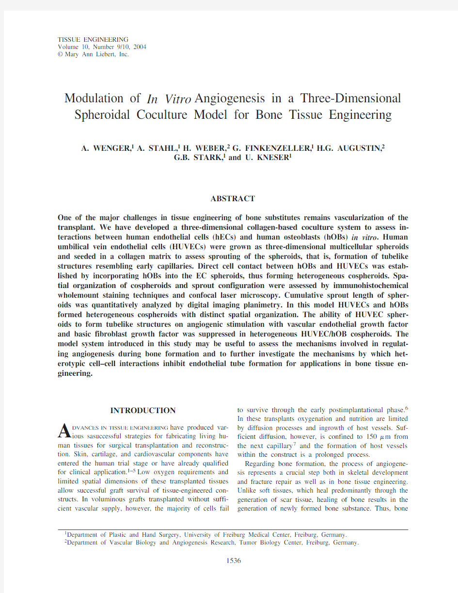 Modulation of In Vitro Angiogenesis in a Three-Dimensional Spheroida Coculture_Model_for_Bone_Tissu1