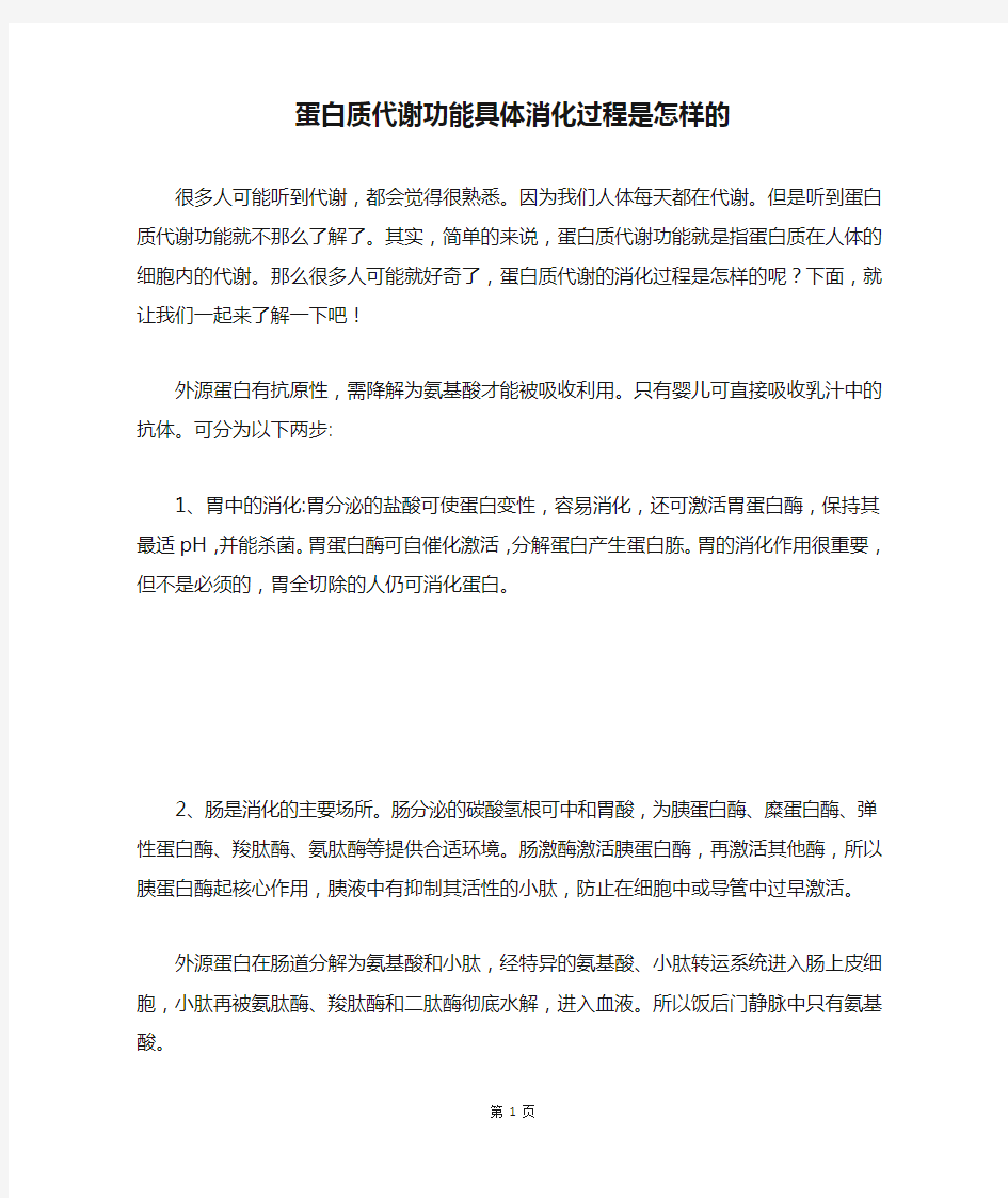 蛋白质代谢功能具体消化过程是怎样的